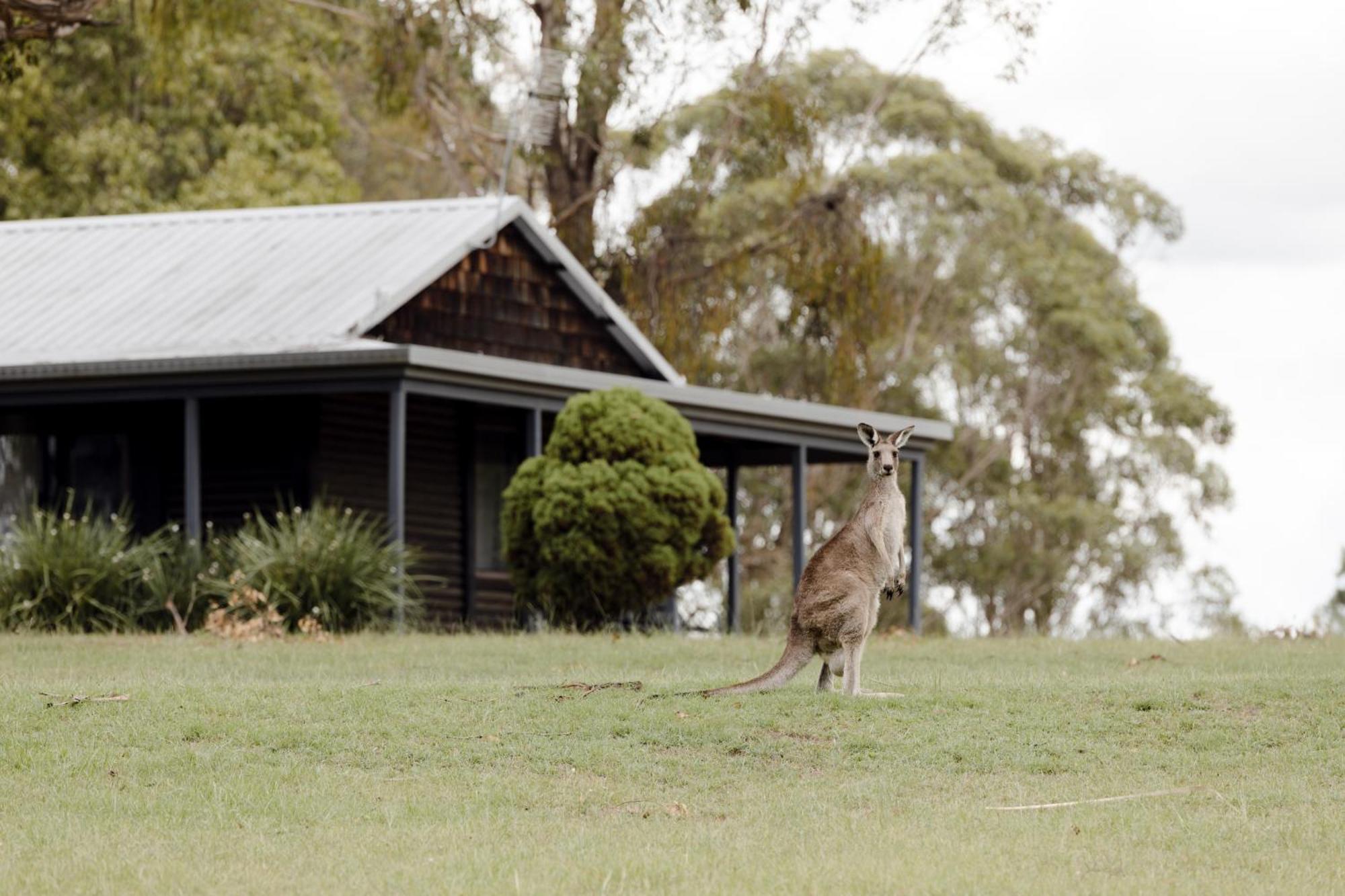 Palmers Lane Estate Hunter Valley Поколбин Екстериор снимка